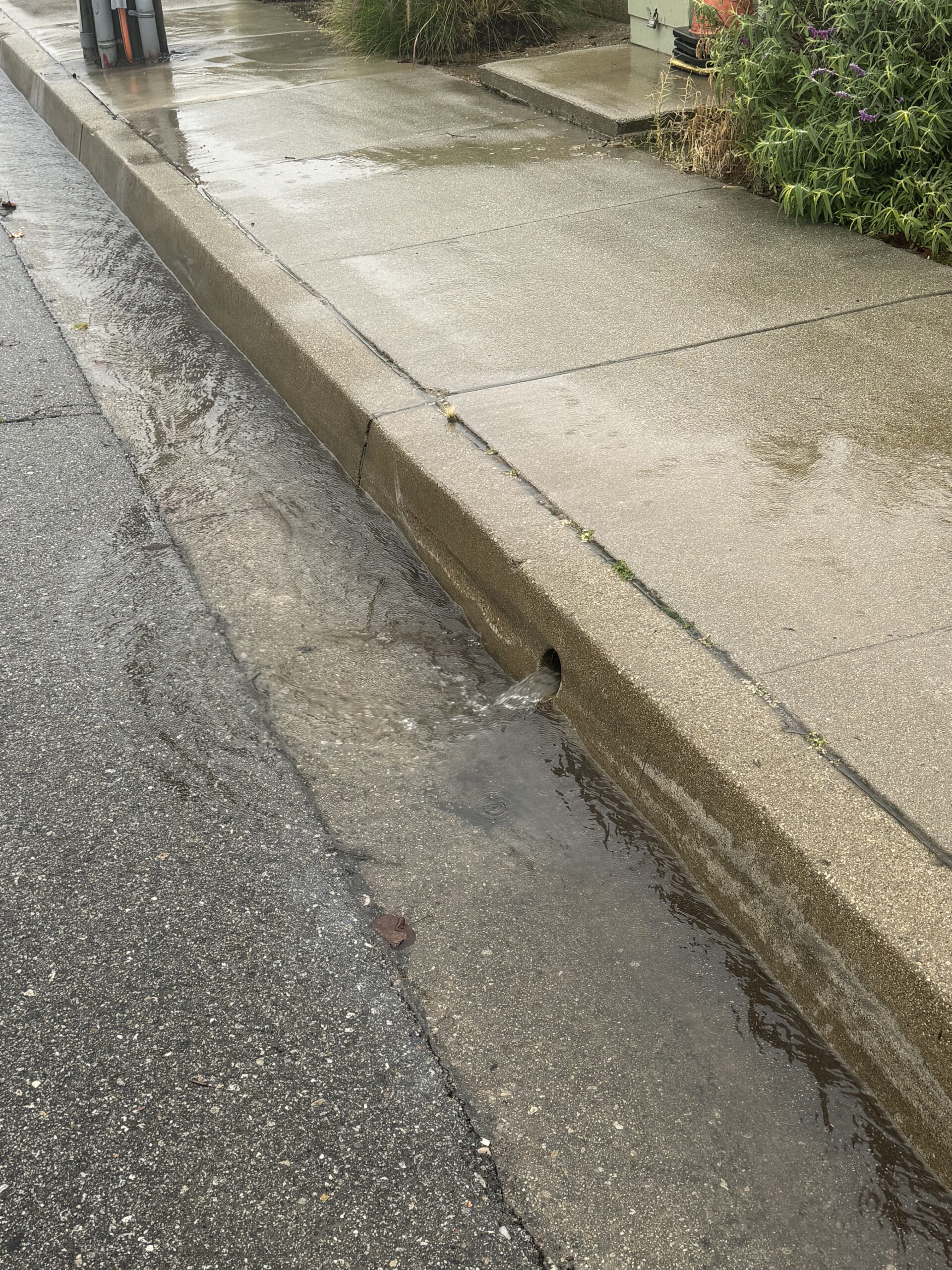water draining from landscape drain