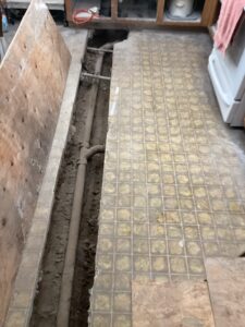 drain repair pomona