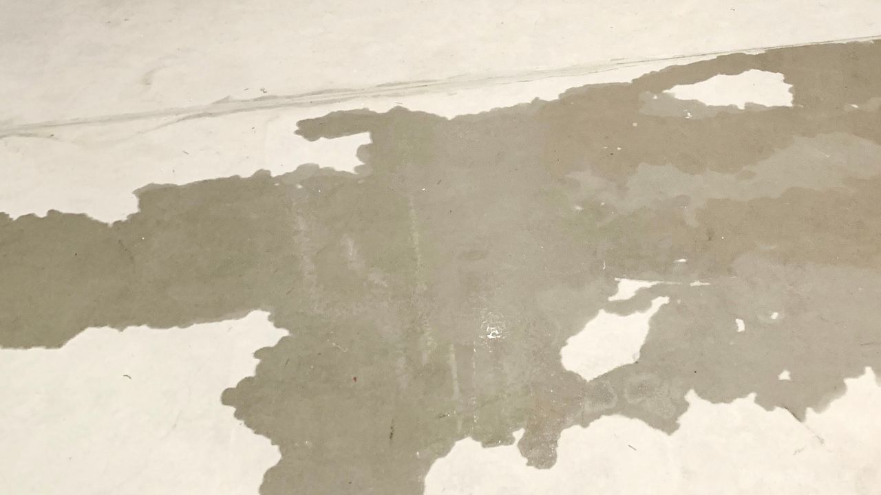 How to Prevent Holiday Plumbing Problems Cover