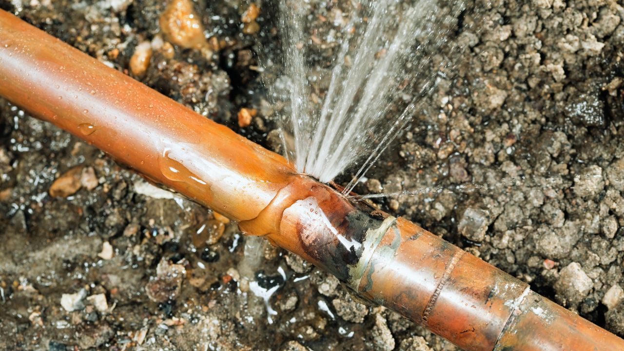 How to Prevent Holiday Plumbing Problems Cover
